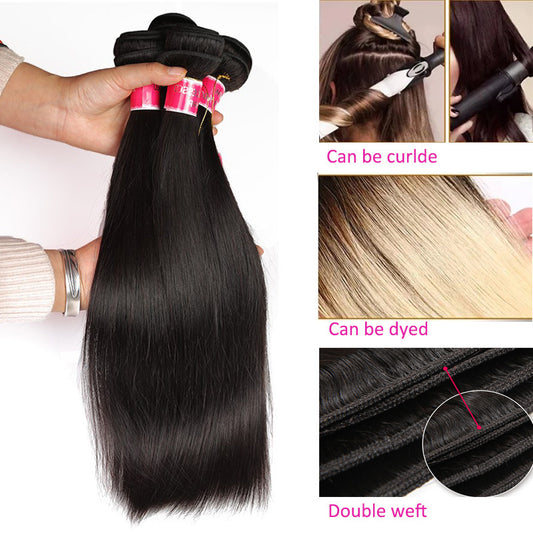 Perruques en cheveux humains naturels, couleur inversée et naturelle
